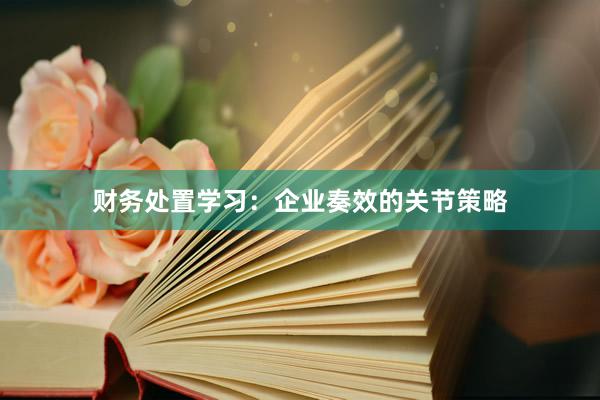 财务处置学习：企业奏效的关节策略