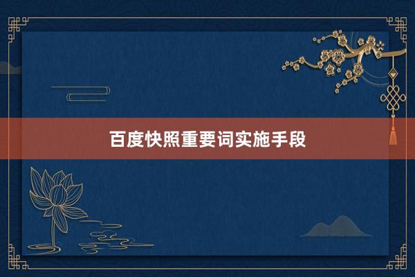百度快照重要词实施手段