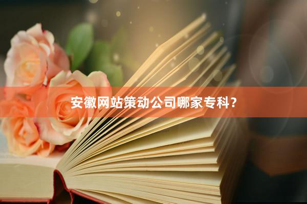 安徽网站策动公司哪家专科？