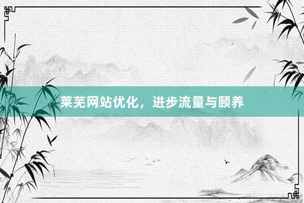 莱芜网站优化，进步流量与颐养