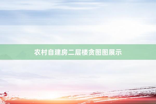 农村自建房二层楼贪图图展示