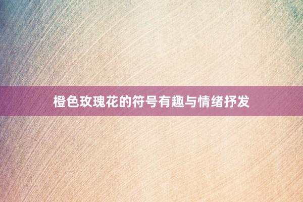 橙色玫瑰花的符号有趣与情绪抒发