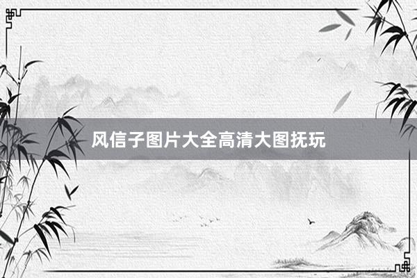 风信子图片大全高清大图抚玩