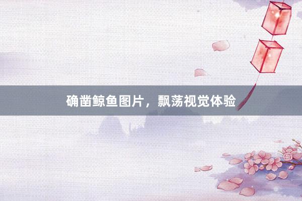 确凿鲸鱼图片，飘荡视觉体验